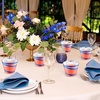 image:imageGejoy 100 Pcs 9 oz Rimmed Swirl Plastic Cup OrangeBlue