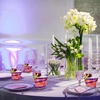 image:imageGejoy 100 Pcs 9 oz Rimmed Swirl Plastic Cup OrangePurple