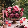 image:imageGejoy 100 Pcs 9 oz Rimmed Swirl Plastic Cup OrangeRose Red